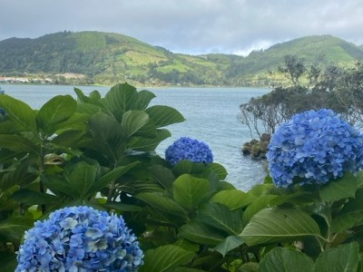 Celebrating 25 Years: Our Sustainability Trip to the&nbsp;Azores