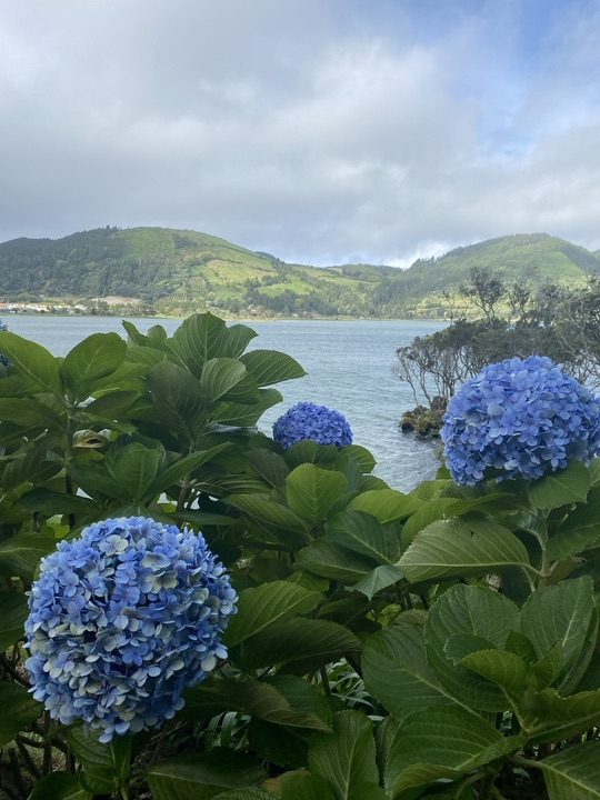 Celebrating 25 Years: Our Sustainability Trip to the&nbsp;Azores